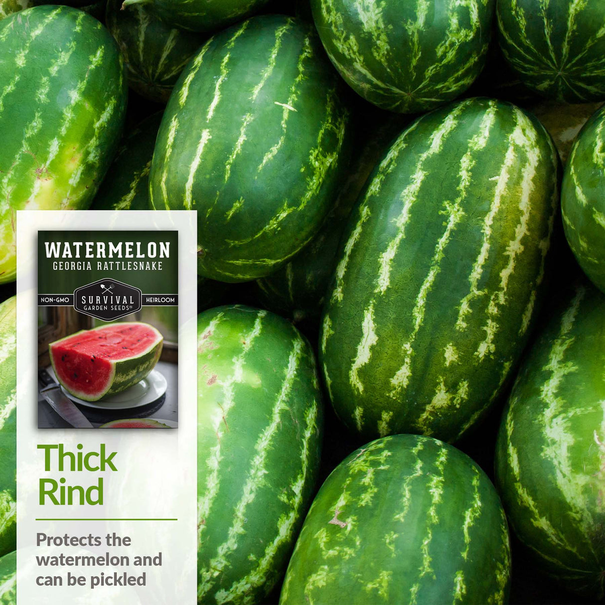 Georgia Rattlesnake Watermelon has a thick rind suitable for pickling