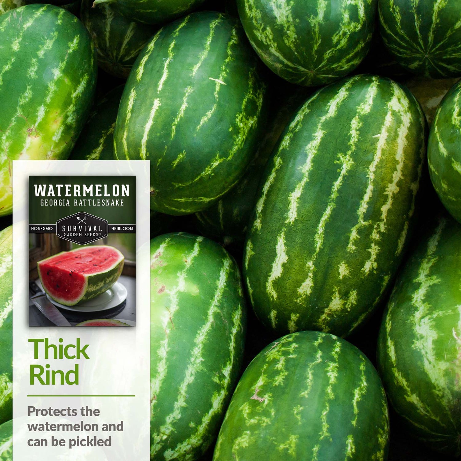Georgia Rattlesnake Watermelon has a thick rind suitable for pickling
