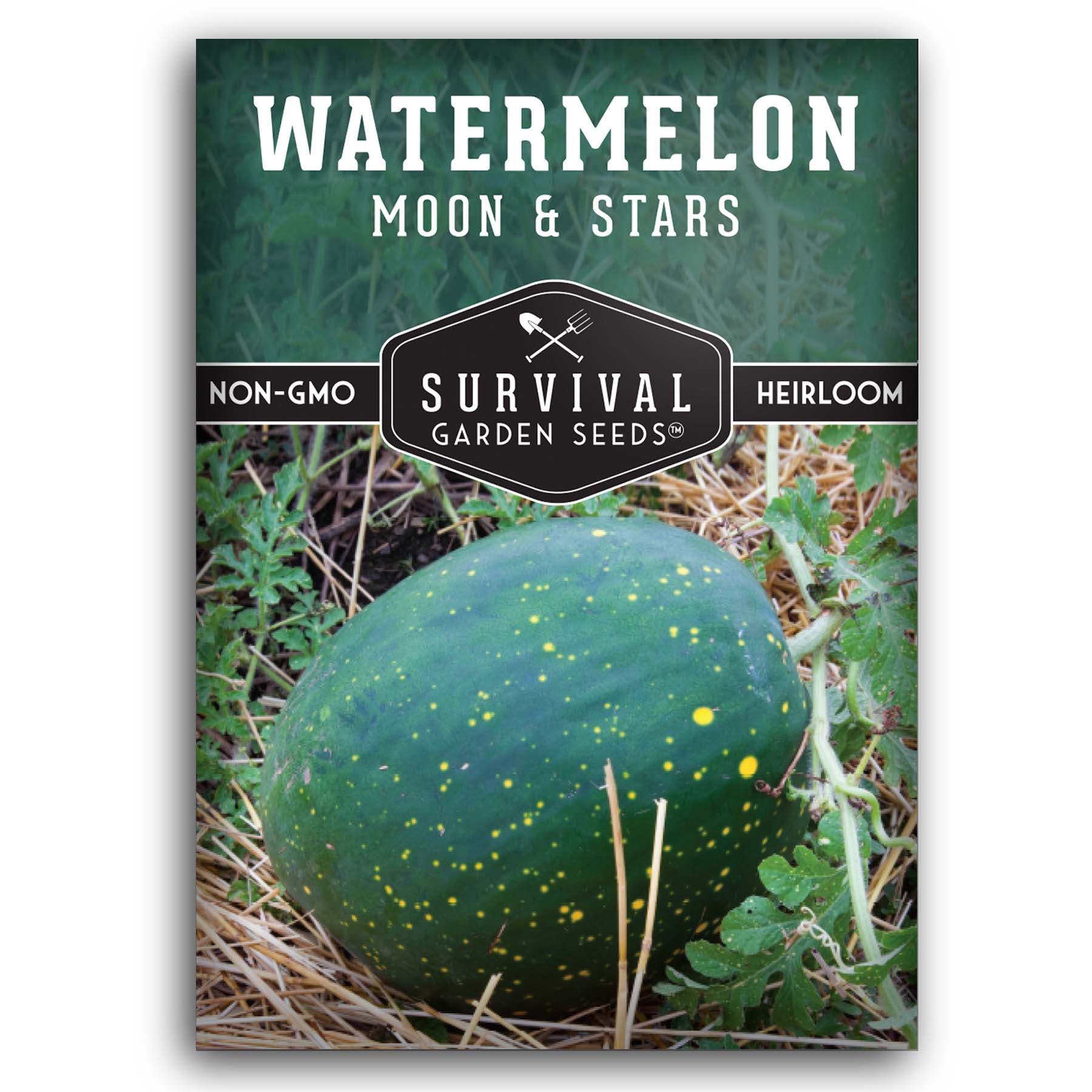 Moon and Stars Watermelon Seeds for planting