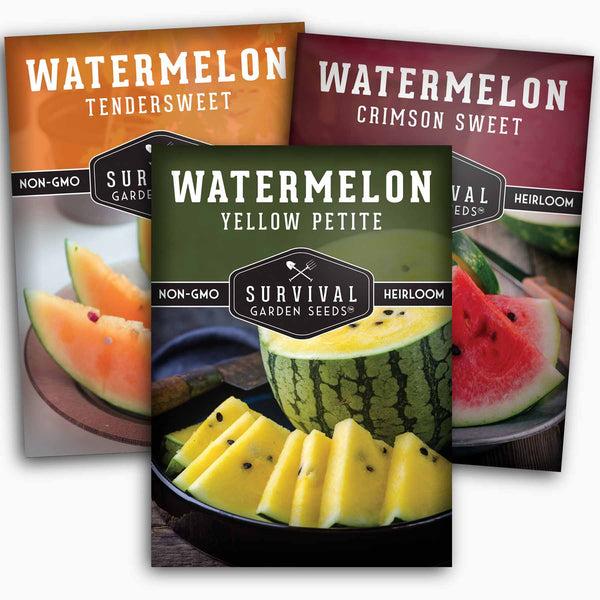 Watermelon Seed Collection - 3 Colors - SurvivalGardenSeeds