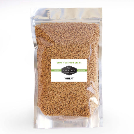 Bulk Wheat Seed for Planting