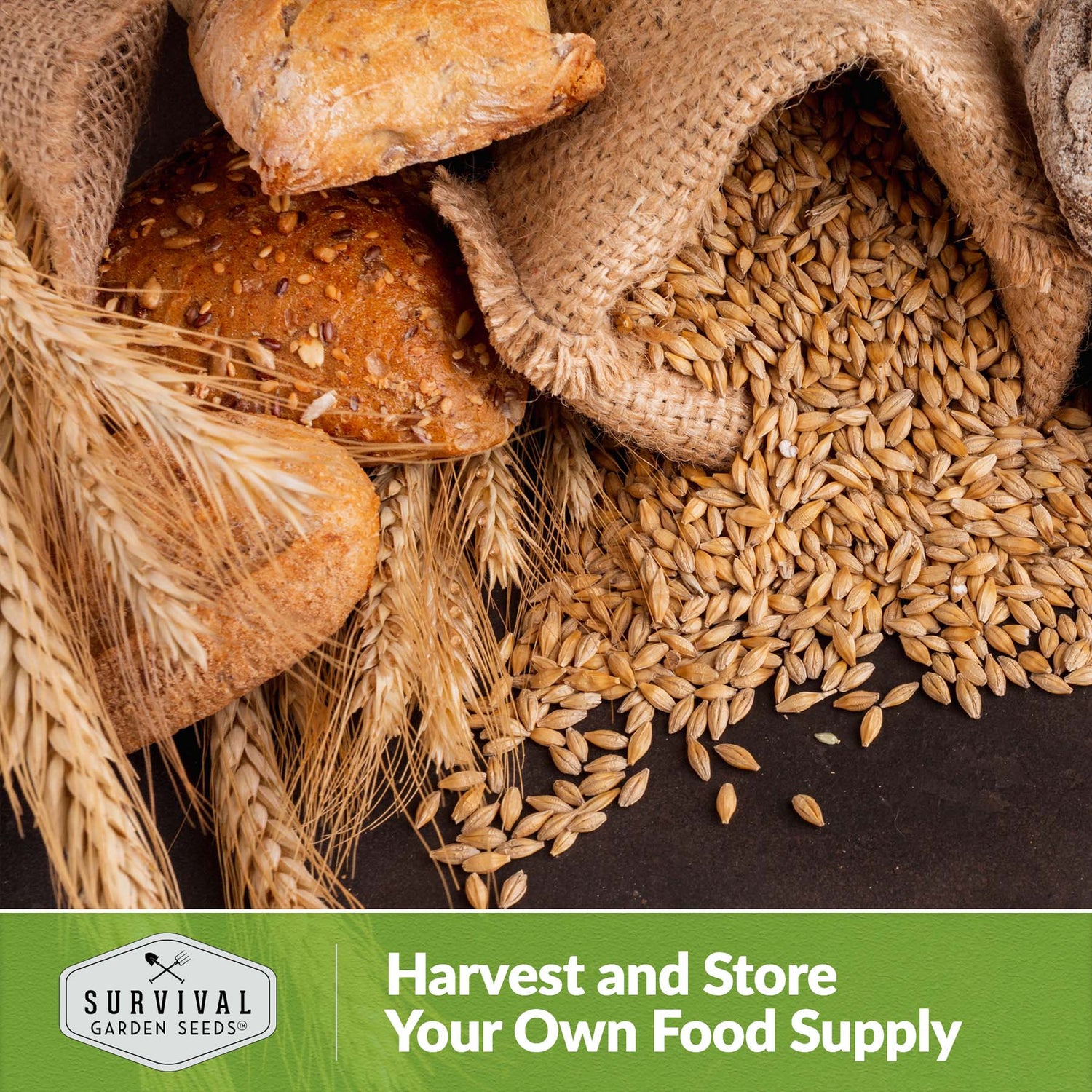 Harvest and store your own food supply