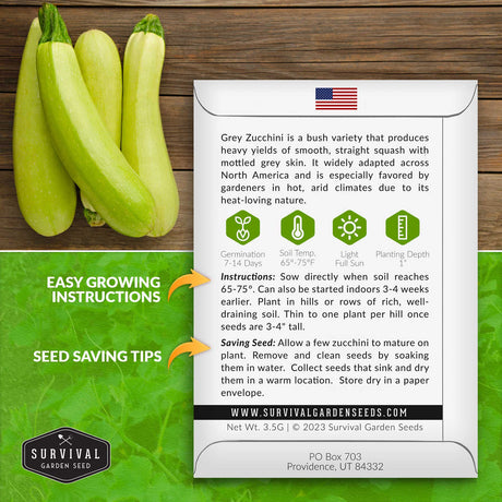 Grey zucchini seed planting instructions