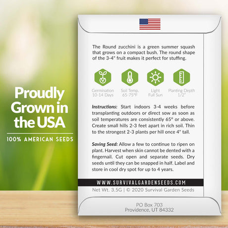 Round Zucchini Seed