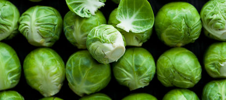 10 Vegetables for Your Fall Survival Garden