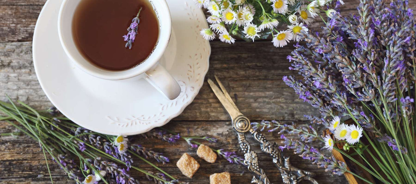 Growing Your Own Aromatherapy Garden