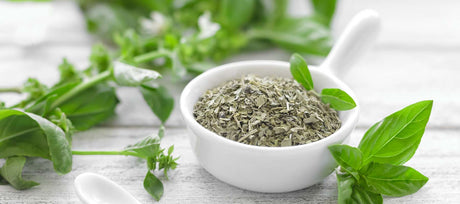 Easy Ways to Preserve Basil