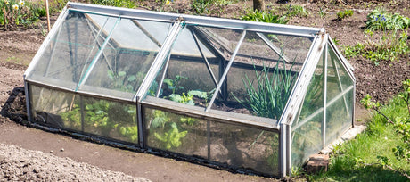 Beat the Frost: A Beginner's Guide to Building a Cold Frame