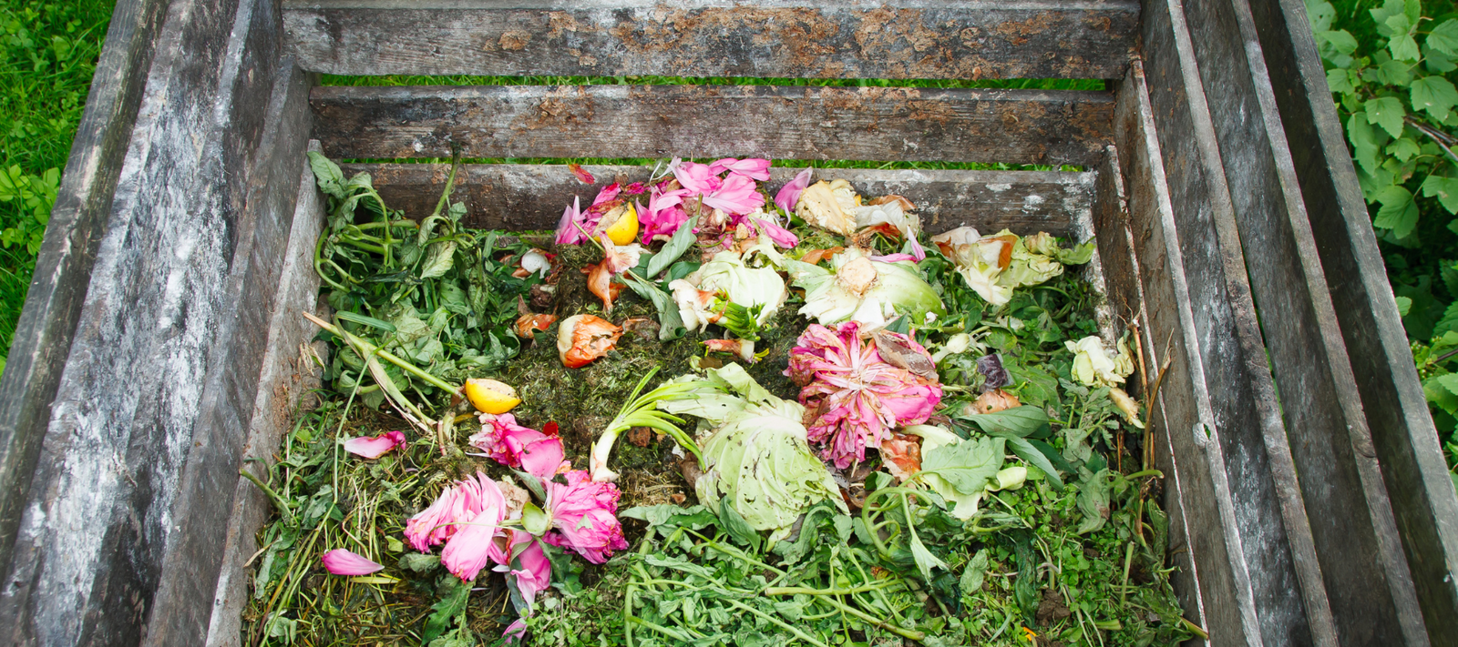 How to Compost