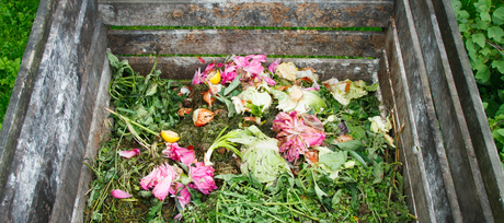 How to Compost