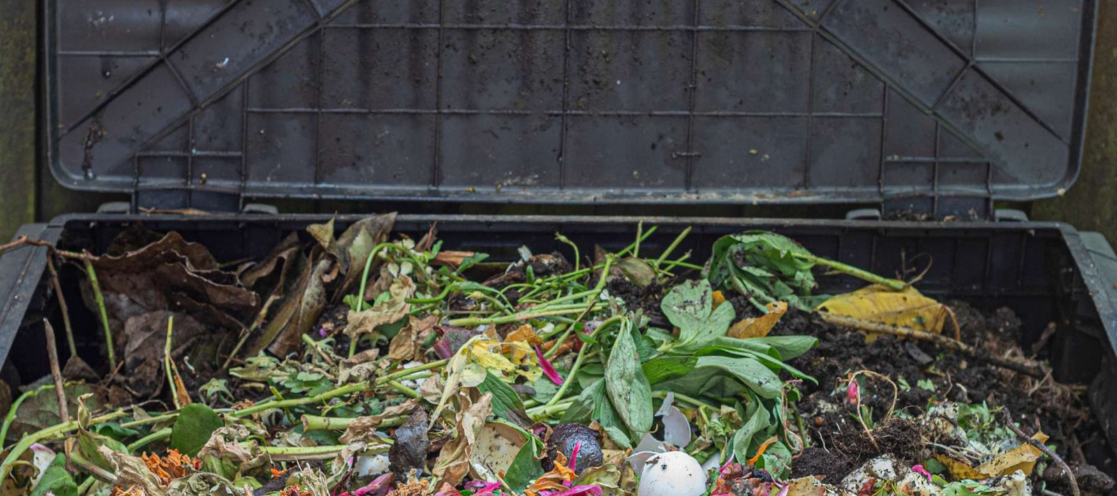 Composting 101 - Get Started Composting