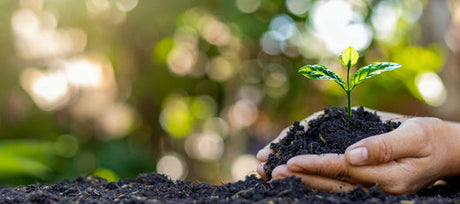 Gardening Is Good for the Environment (and You, Too)!