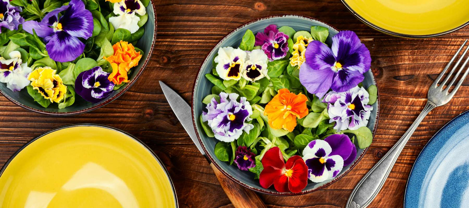 From Garden to Plate: 7 Edible Flowers You Should Start Growing Today
