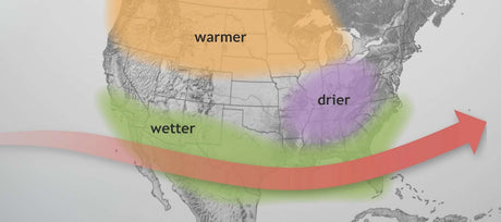 What a Super El Niño Means For Your Vegetable Garden