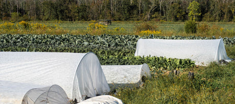 5 Ways to Extend the Garden Growing Season