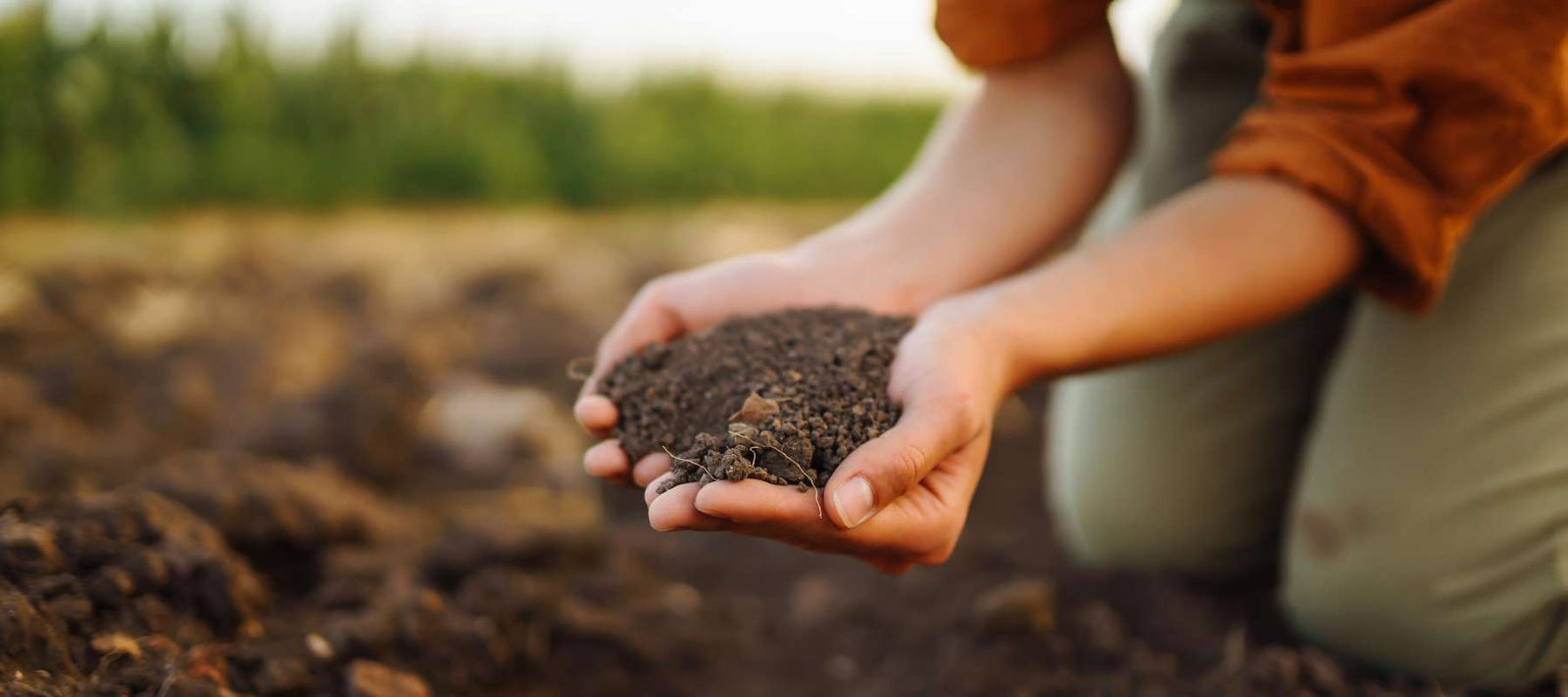 Don’t Leave Your Soil Bare! 3 Simple Fall Prep Steps for a Thriving Spring Garden