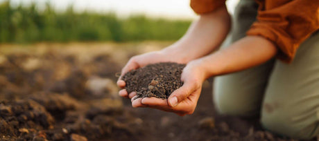 Don’t Leave Your Soil Bare! 3 Simple Fall Prep Steps for a Thriving Spring Garden