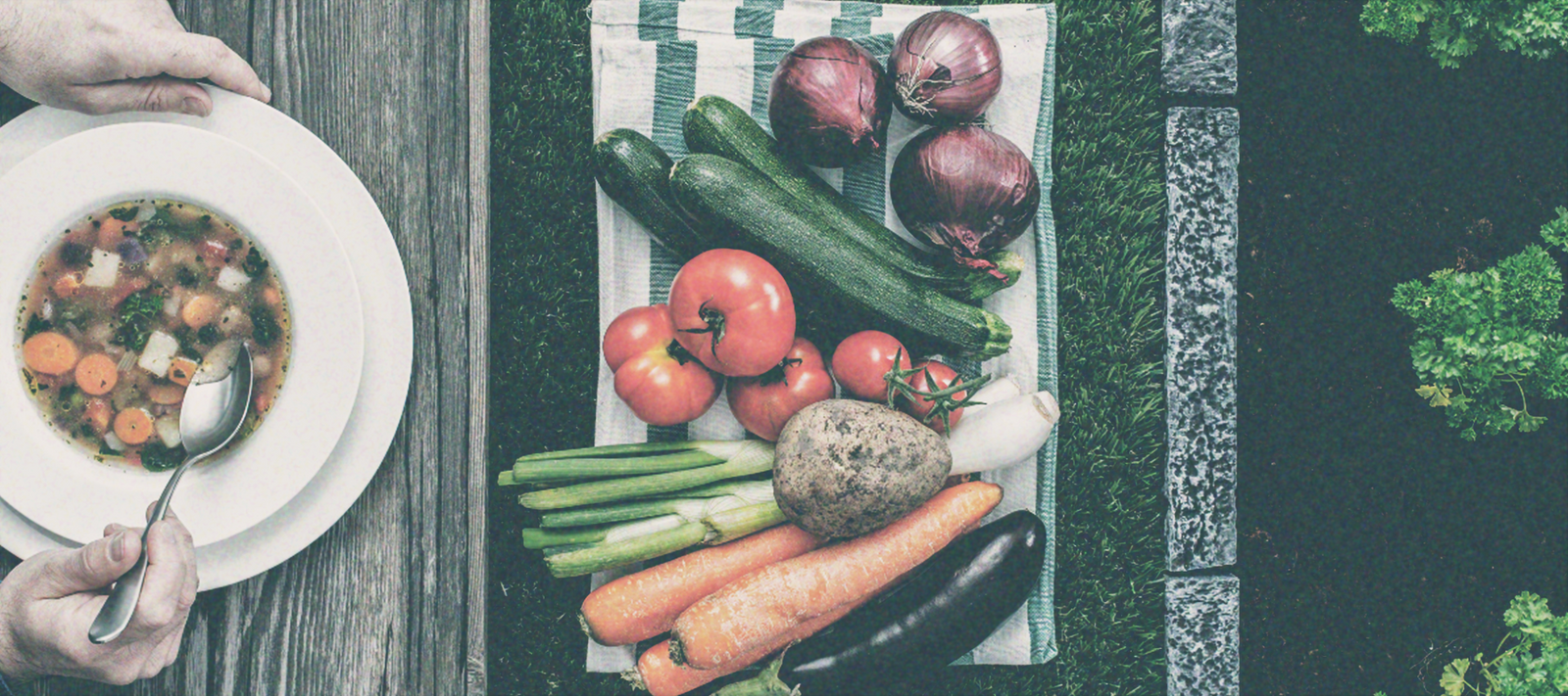 Gardening, Mentors, and Traditions