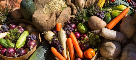 Harvesting and Storing Food