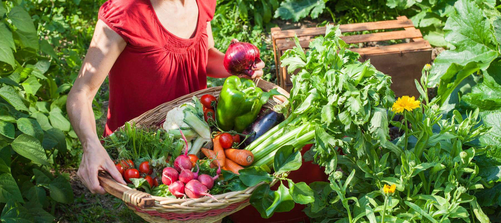 Black Friday Sale: Survival Starter Kit