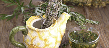How and When to Harvest Wormwood