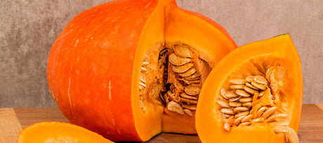 Keep the Harvest Going: Tips for Saving Seeds from Flowers, Herbs & Vegetables