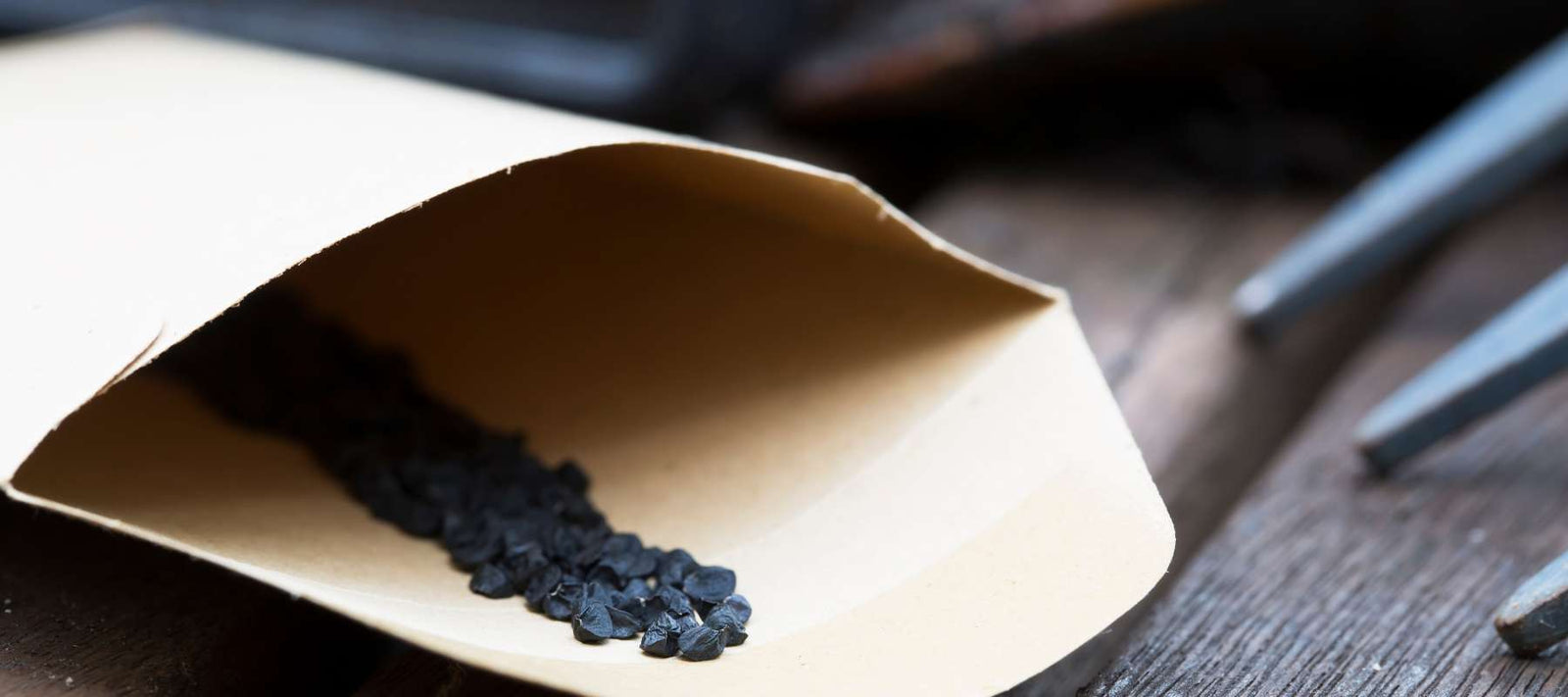 How to Store Seeds for the Longest Viable Life
