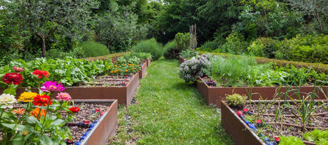 10 Benefits of Growing Flowers in a Survival Garden