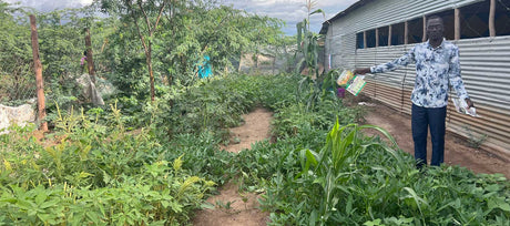 When Giving Back Means Growing Hope: Our Seeds in Kakuma