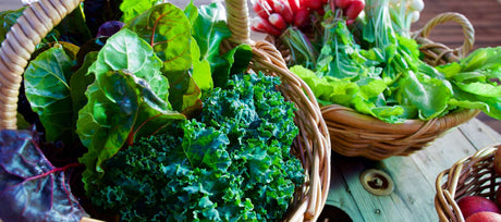 Fast Growing Greens for Every Season