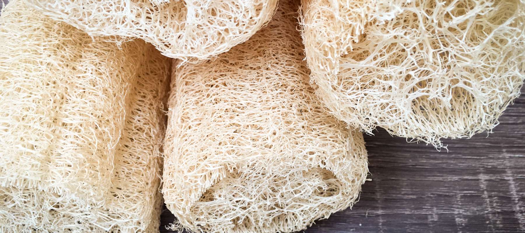 How to Process Your Luffa Gourd to Make a Sponge