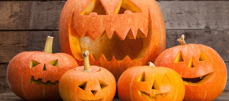 7 Tips to Extend the Life of Your Carved Pumpkin