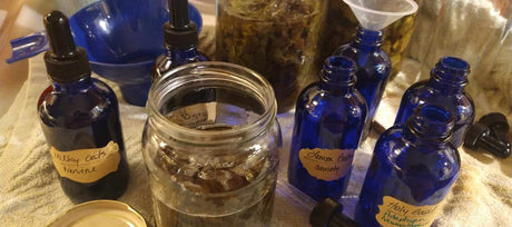 Milky Oats for Frayed Winter Nerves: A Gentle, Old-Fashioned Tonic You Can Grow Yourself