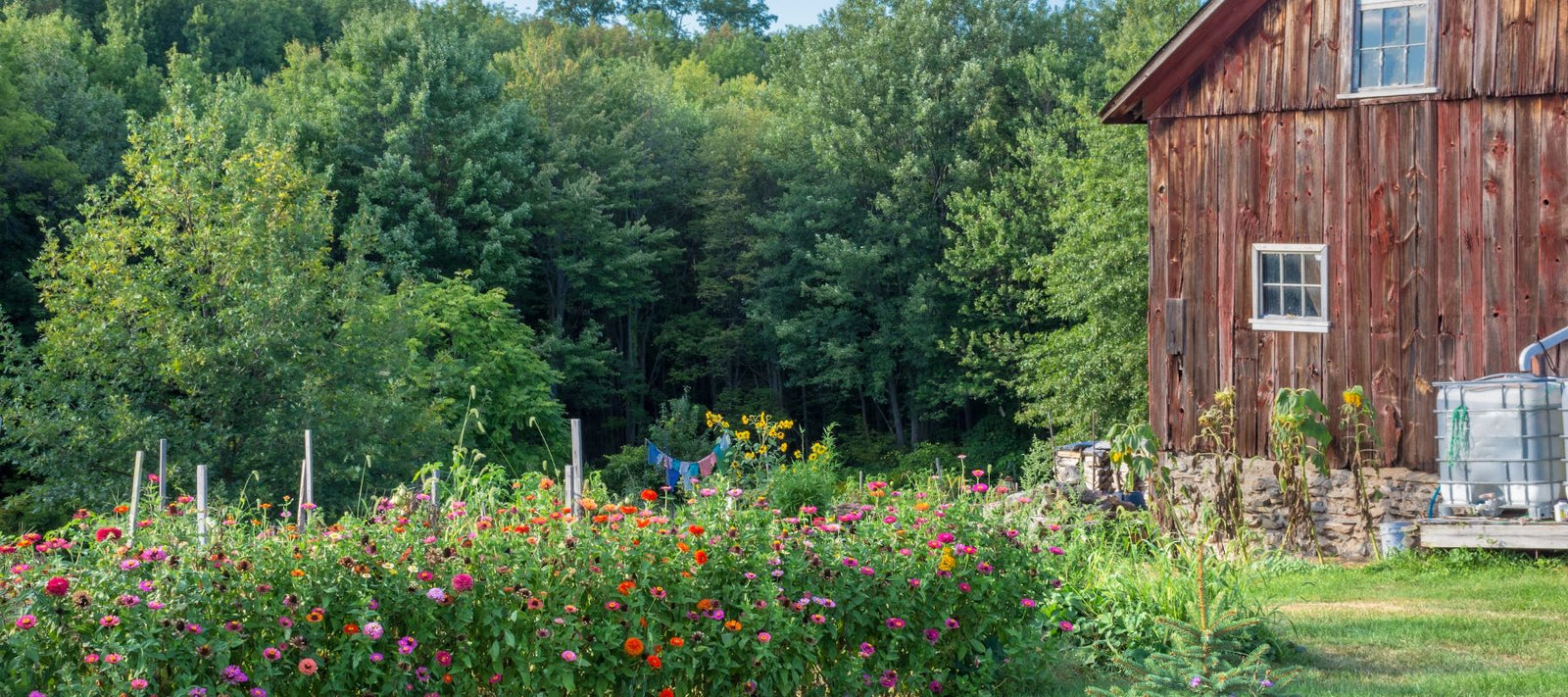 Connecting With the Community - Modern Homesteading Conference