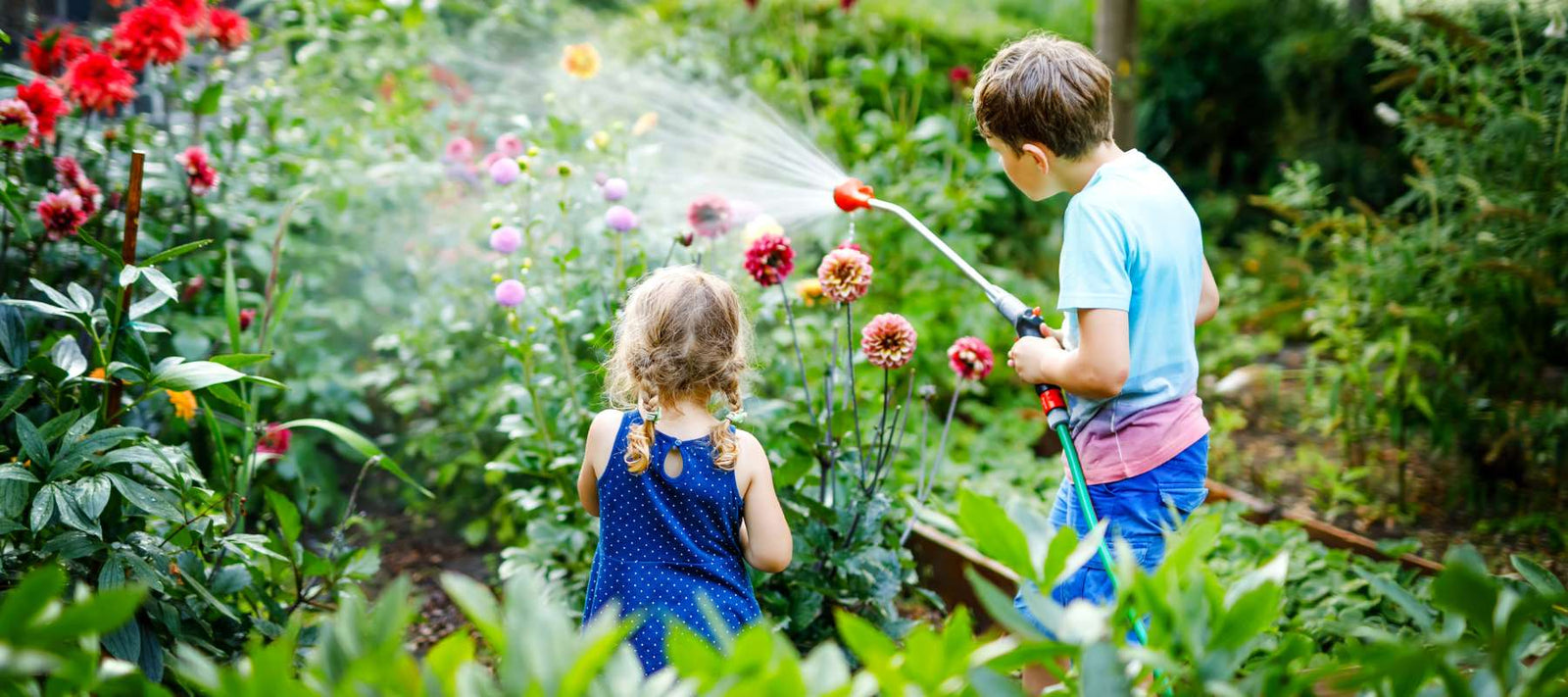 Give Mom Something That Grows: Why Flower Seeds Make the Perfect Mother’s Day Gift
