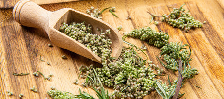 Growing Mugwort, A Resilient & Versatile Medicinal Herb