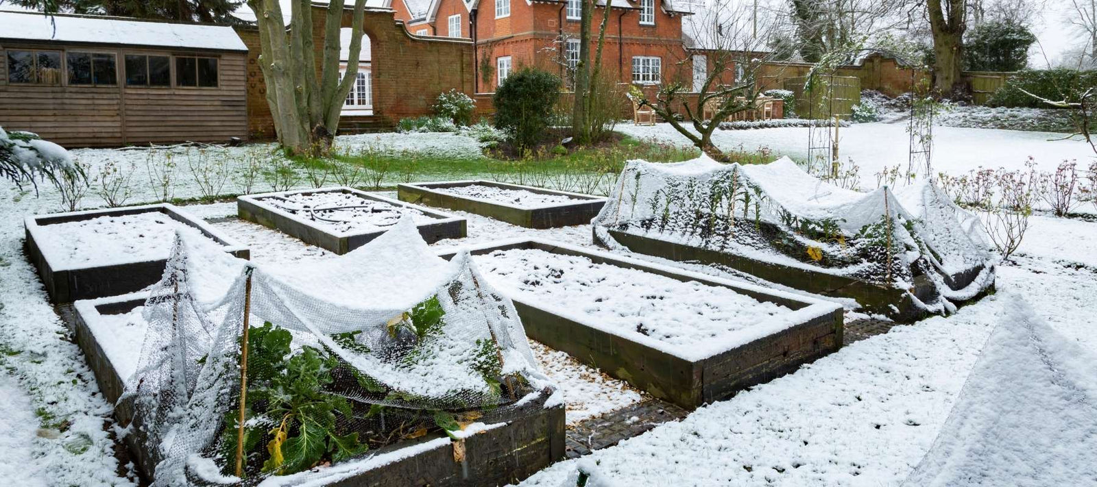 What You Can Plant Outside in January (By USDA Zone)