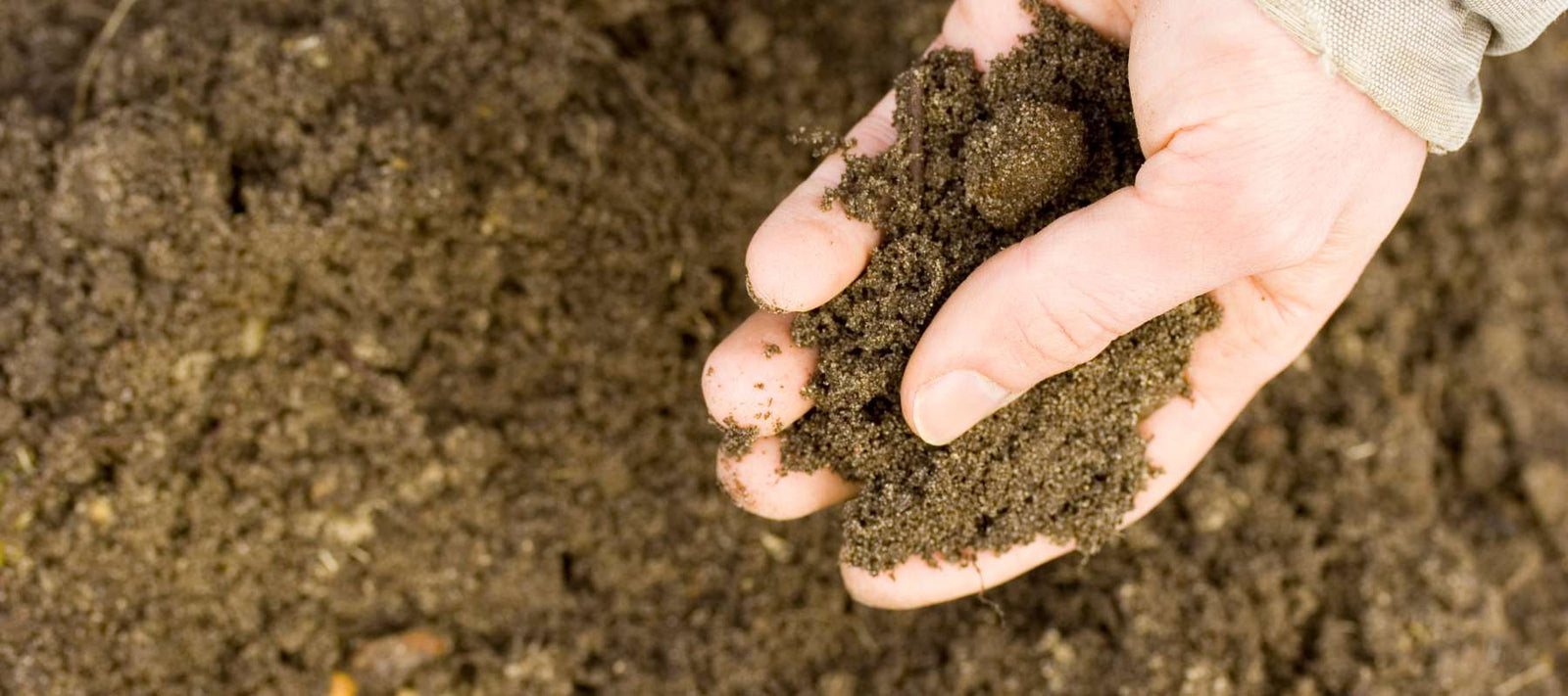 Why Soil Testing is Important