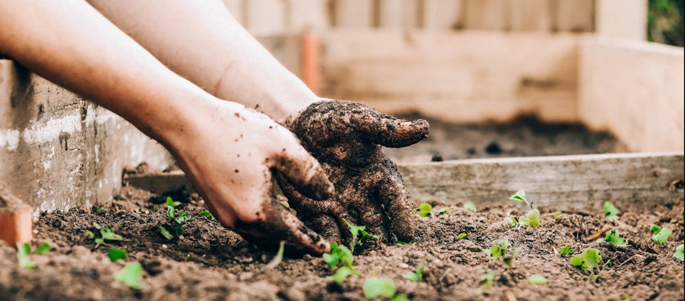 Spring Gardening: Tips for Preparing Your Garden Soil