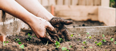 Spring Gardening: Tips for Preparing Your Garden Soil
