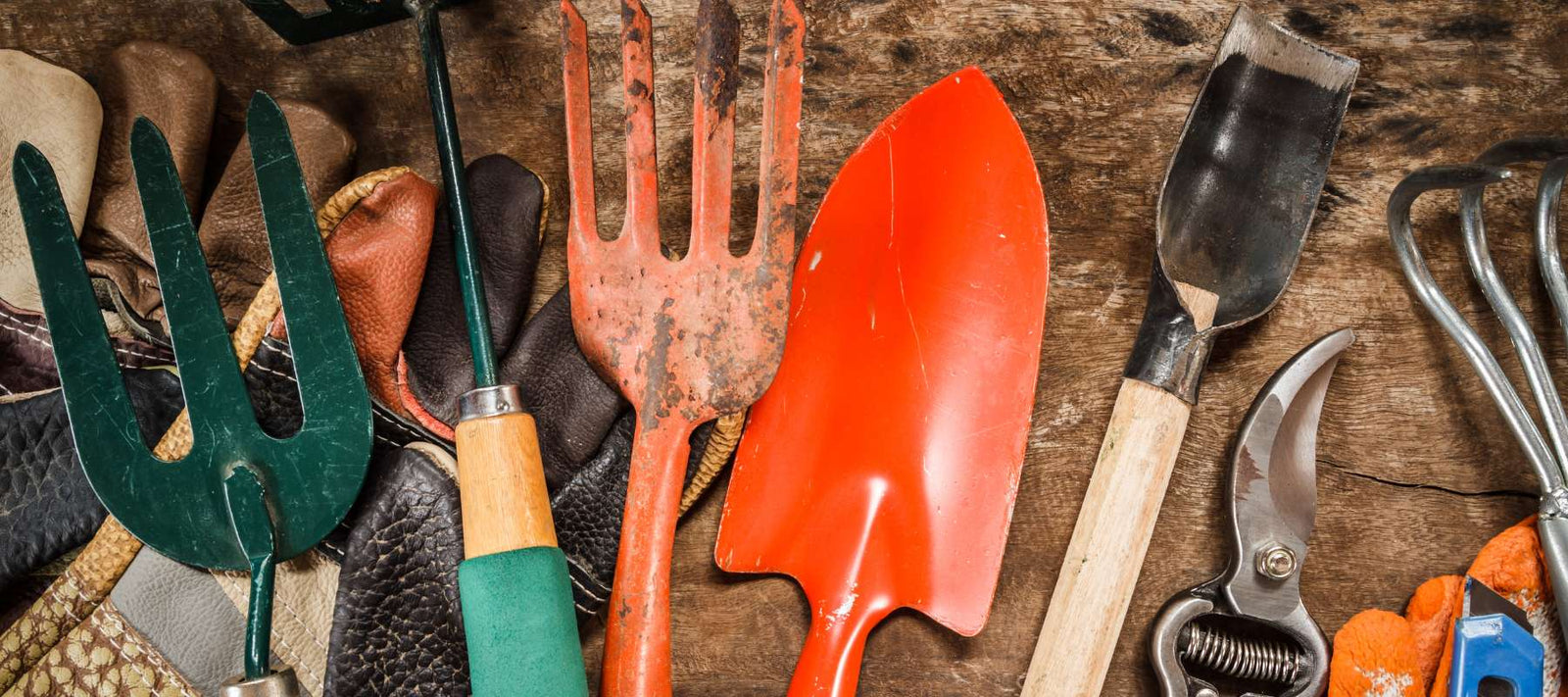 6 Tips for Garden Tool Maintenance