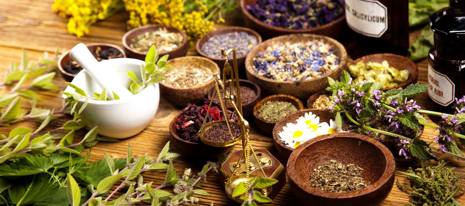 Introducing the Ultimate Medicinal Herb Seed Collection
