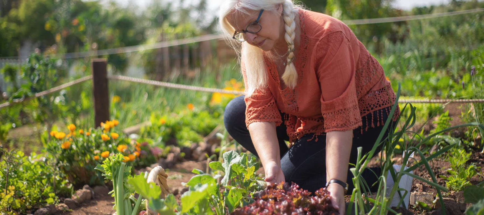 What Is a Survival Garden?