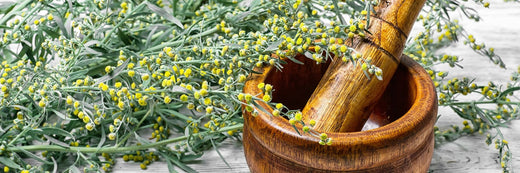 How to Grow and Use Wormwood