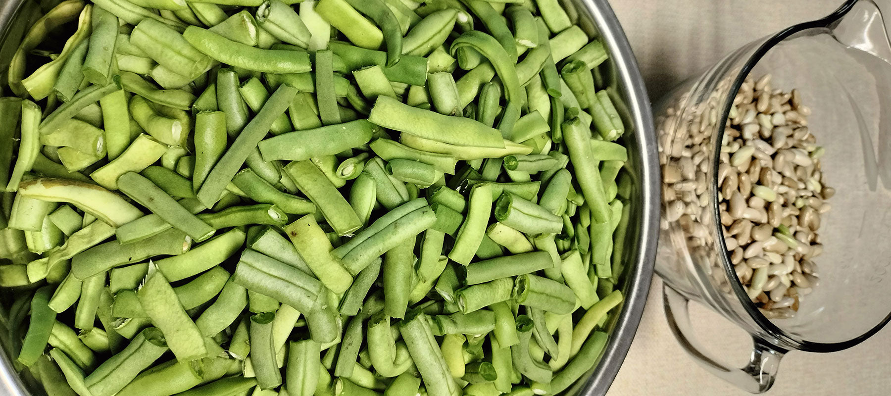 Canning & Dehydrating Green Beans