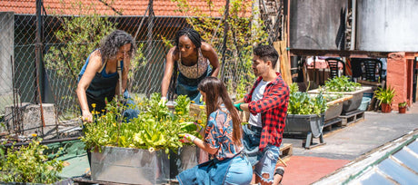 How to Find and Join a Community Garden Near You