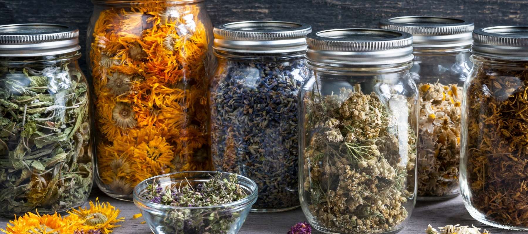 How to dry and preserve herbs