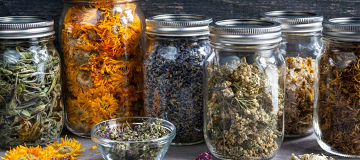 How to dry and preserve herbs