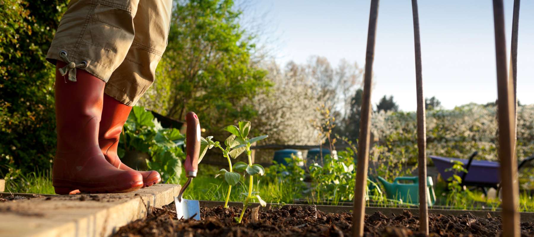 7 steps to planning a successful garden