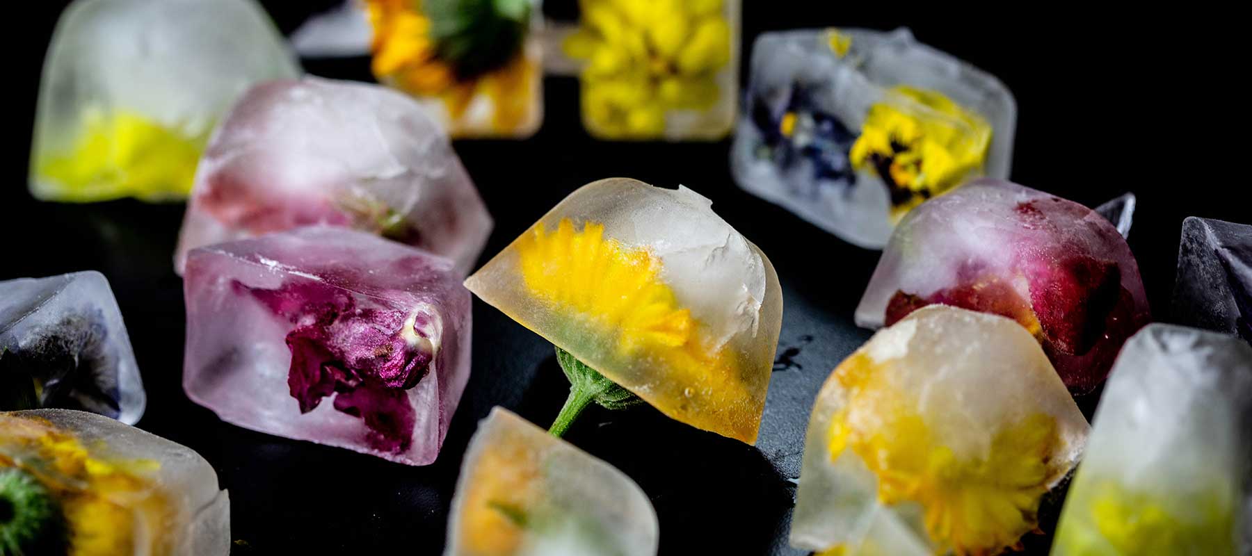10 Edible Flowers that Will Brighten Up Your Dishes